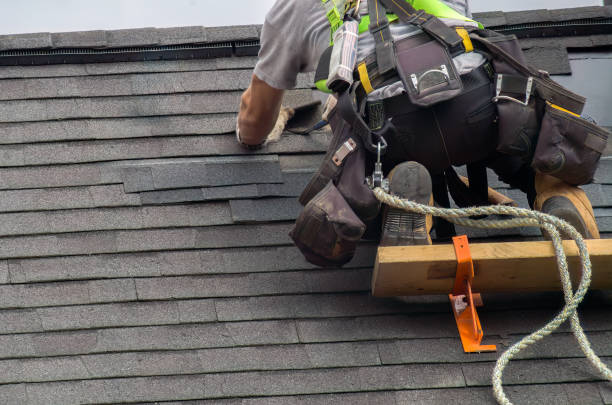 Quick and Trustworthy Emergency Roof Repair Services in Ogden, NC