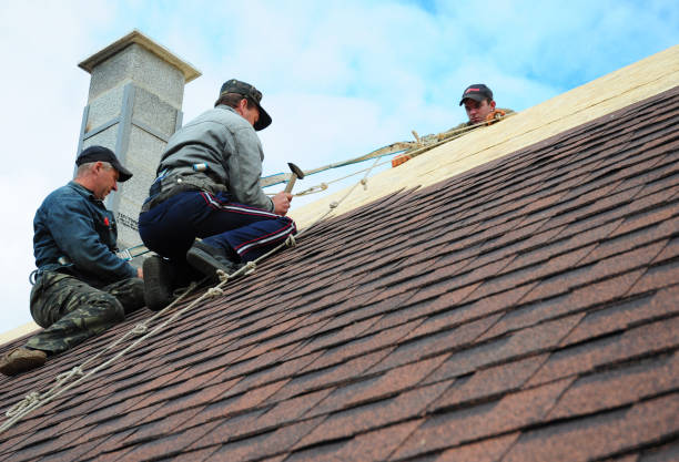 Best Roof Gutter Cleaning  in Ogden, NC