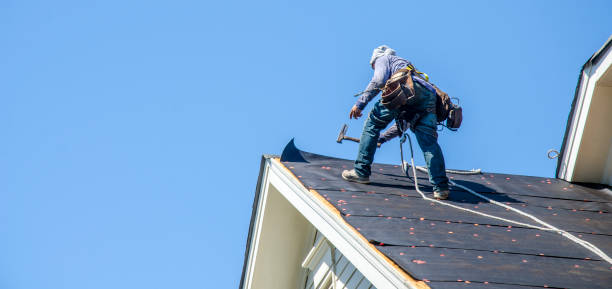 Best Roof Leak Repair  in Ogden, NC